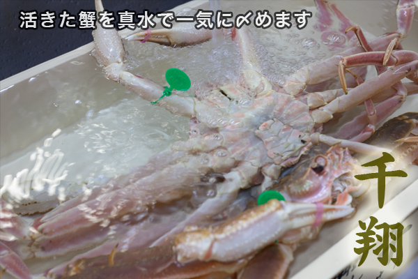 松葉蟹カニスキセット・活きた蟹を〆める